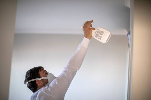 Best Certified Mold Removal  in Chester Gap, VA