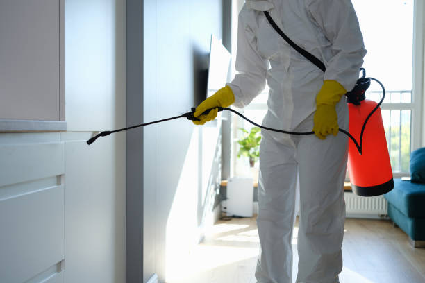 Water Damage Restoration in Chester Gap, VA