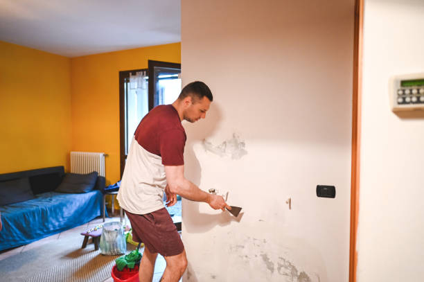 Best Fast Mold Removal  in Chester Gap, VA